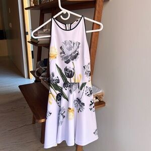 Ted Baker Dress